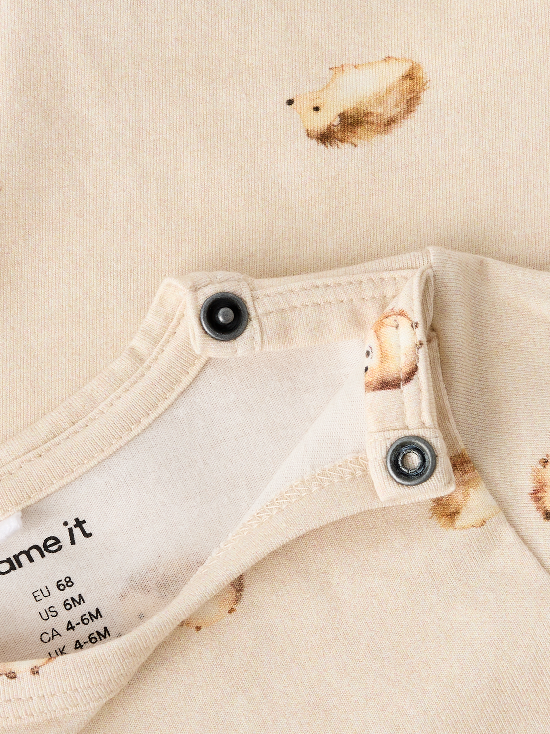 model_shot-front_full